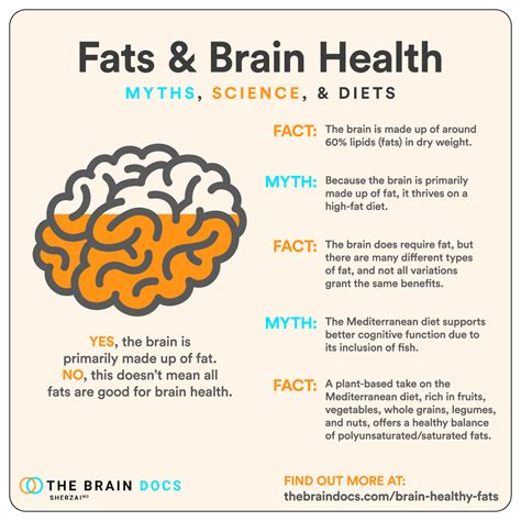 omega 3 fats and cognitive decline.